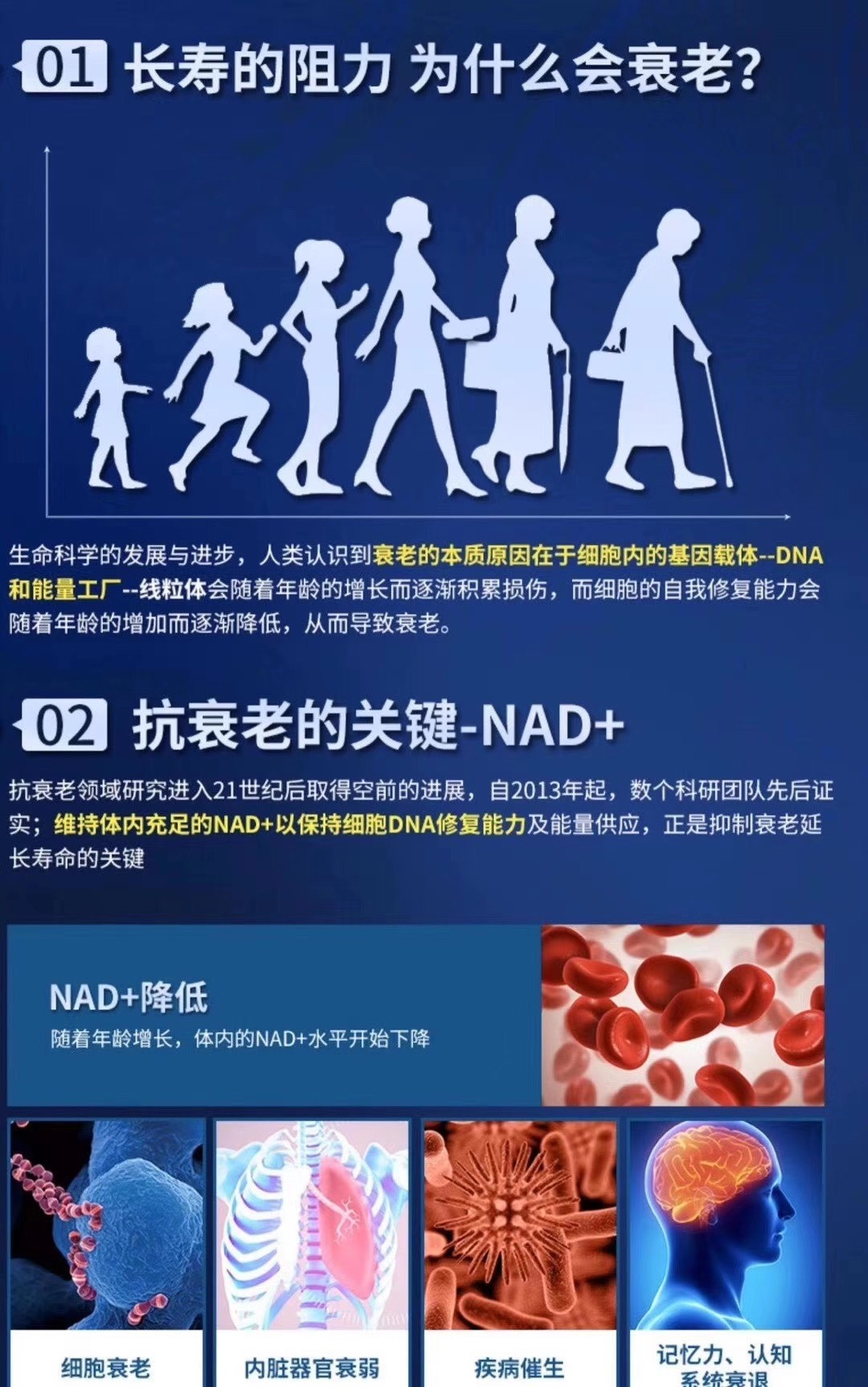 01長壽的阻力 為什么會衰老?02 抗衰老的關鍵-NAD+