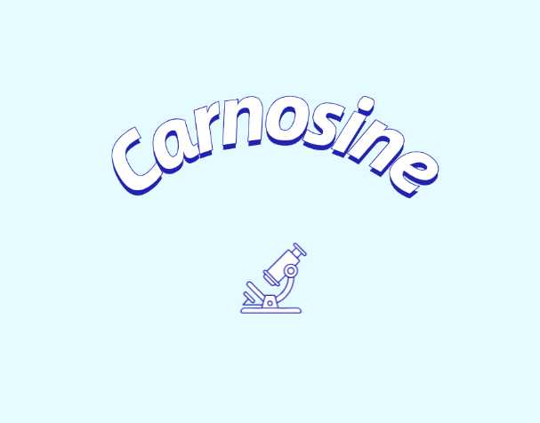 肌肽補(bǔ)充劑或可改善年輕群體認(rèn)知