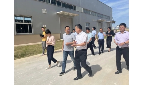 市委常委、副市長呂棟來公司調(diào)研