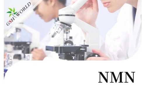 行業(yè)關注 - 最新研究長期補充NMN可改善血管健康