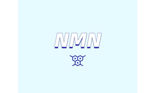 哪里可以買到 nmn？