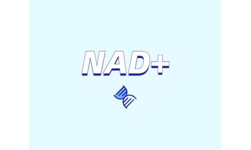 NAD在健康中有什么潛在作用？