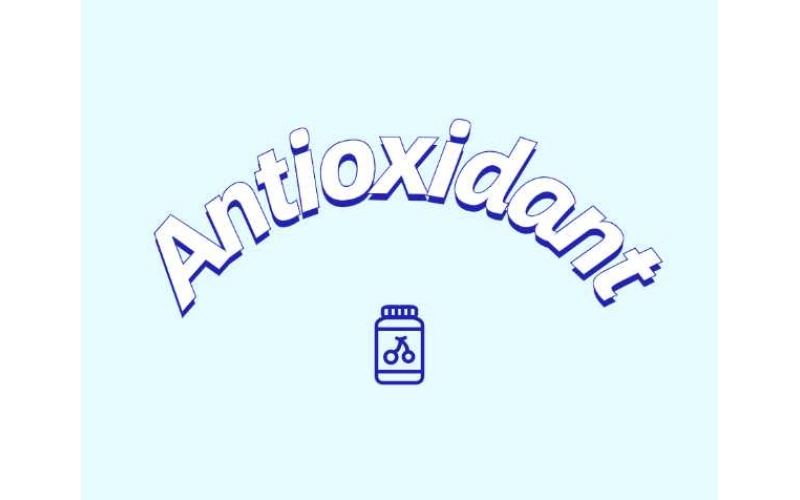 抗氧化劑與功能性食品如何守護健康？