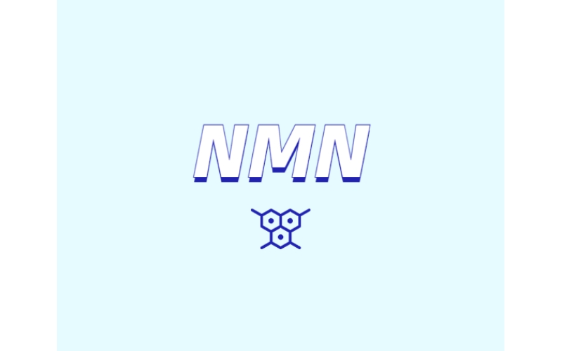 NMN對人體有什么潛在效果？